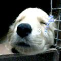 f0039538_23554471.jpg