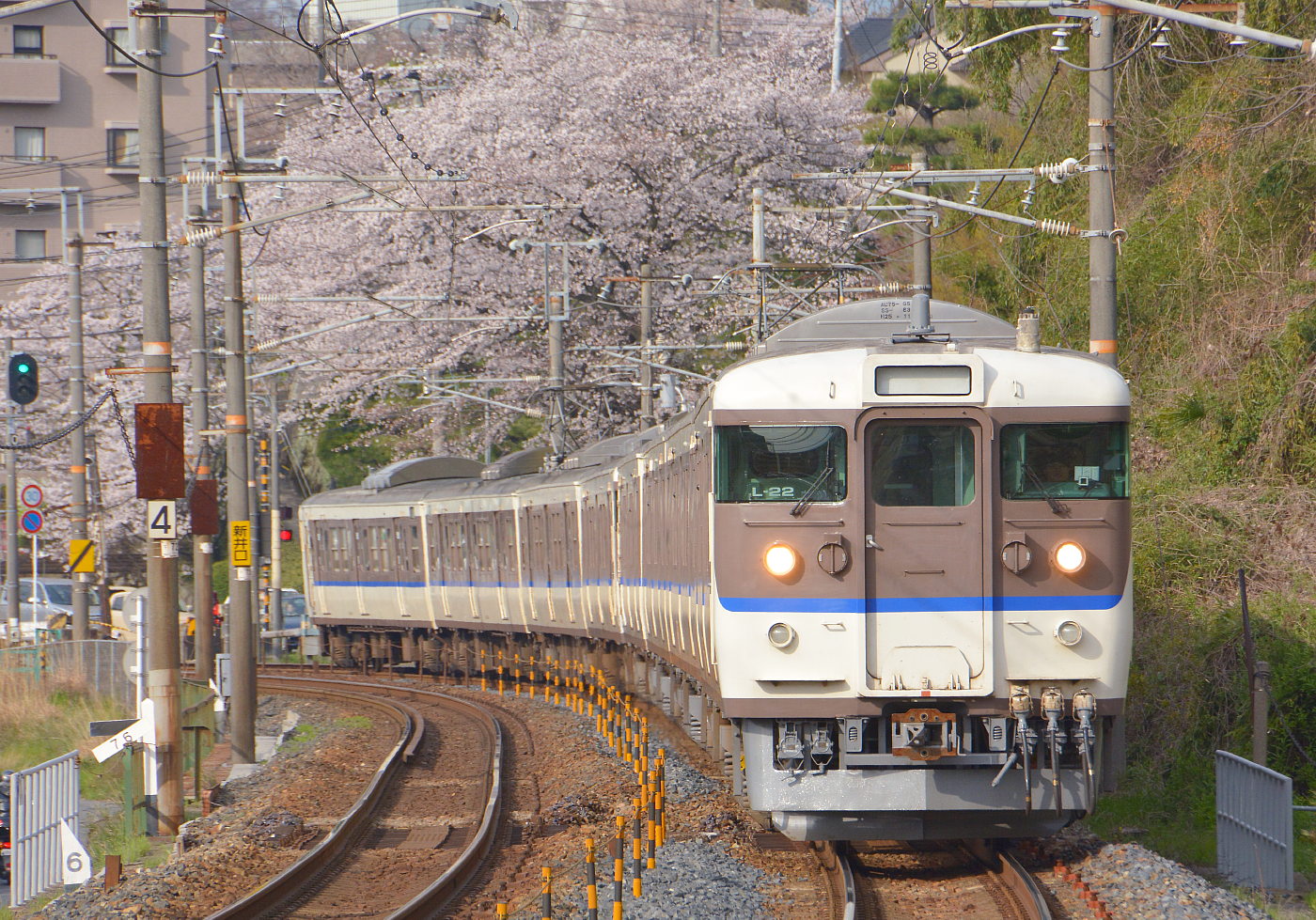 広島も桜満開です : 団塊鉄ちゃん気紛れ撮影記