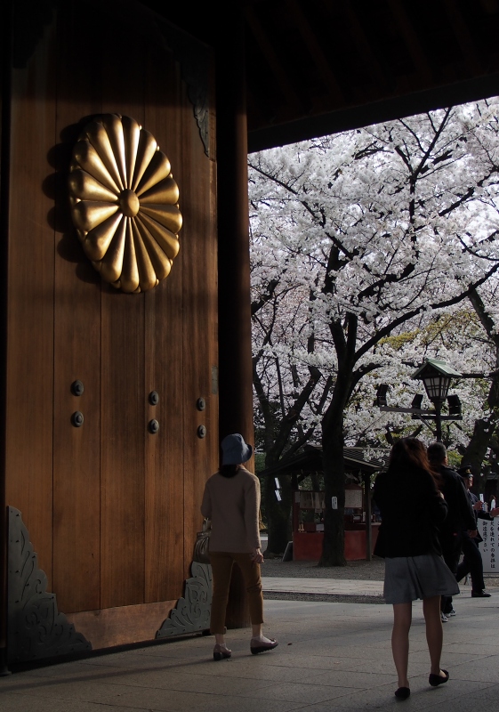 靖国神社と桜　☆　_d0146247_16491354.jpg