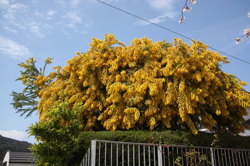a0228449_9464053.jpg