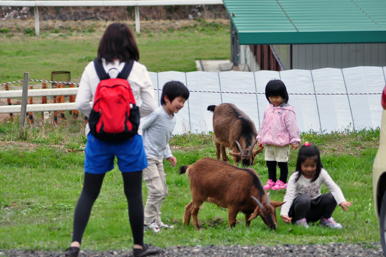 午後からは花曇りです　4/2_b0214652_1443276.jpg