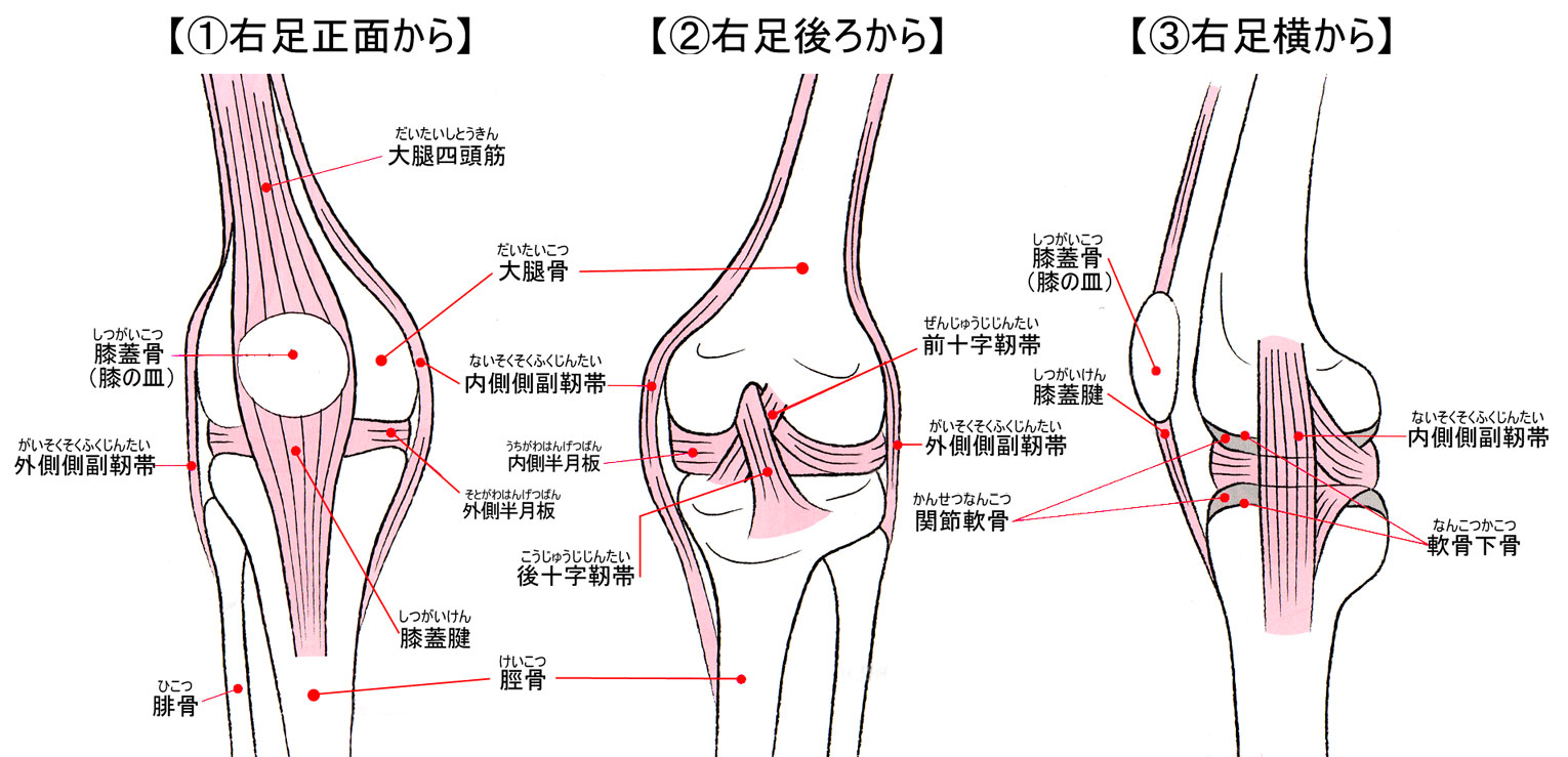 膝手術・入院の総括_f0090954_7264631.jpg