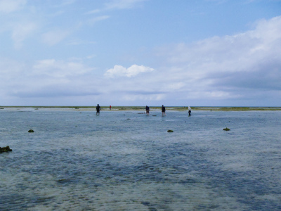 c0180460_058564.jpg
