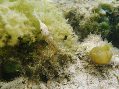 c0180460_104267.jpg