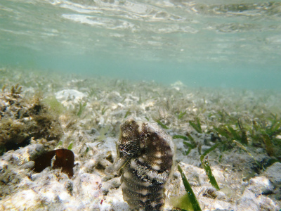 c0180460_1104241.jpg