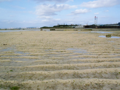 c0180460_112573.jpg