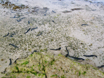 c0180460_1443.jpg