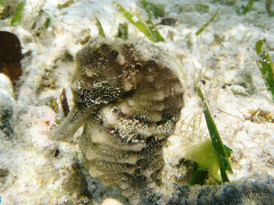 c0180460_174593.jpg