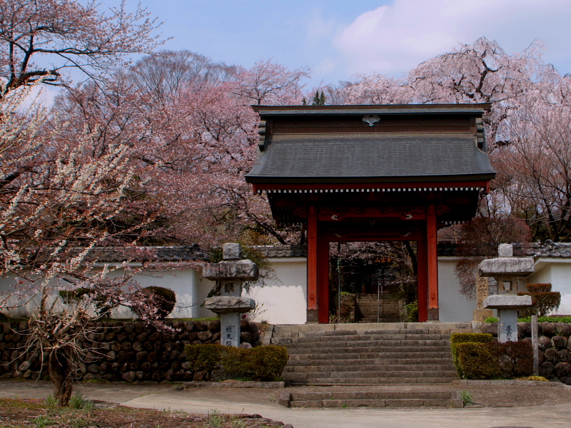 長純寺の奪衣婆など_c0305565_17592367.jpg