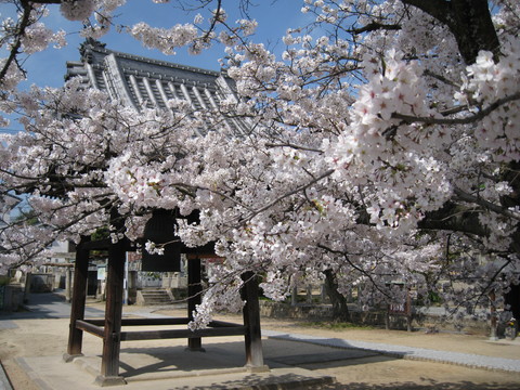 c0235167_11592272.jpg