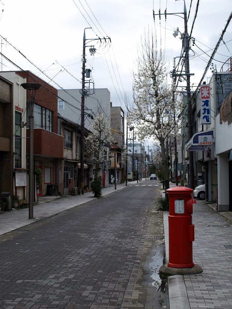 『辛夷(コブシ)咲く街風景と自然公園の木五倍子(キブシ)』_d0054276_20201627.jpg