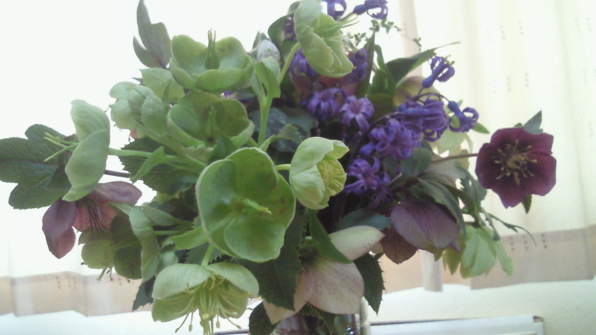 花花_e0105782_015556.jpg