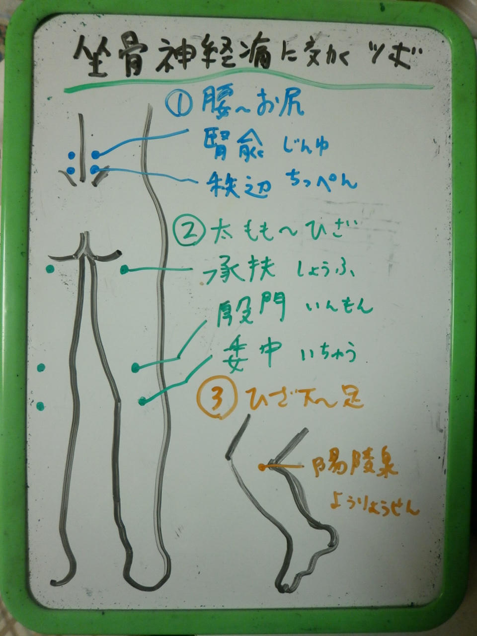 ツボ 坐骨 神経痛 マッサージ