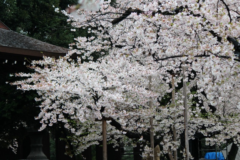 a0127090_23161115.jpg