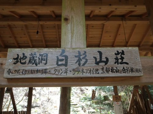 e0271890_21194901.png