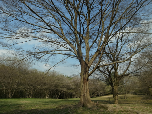 e0271890_21480551.png