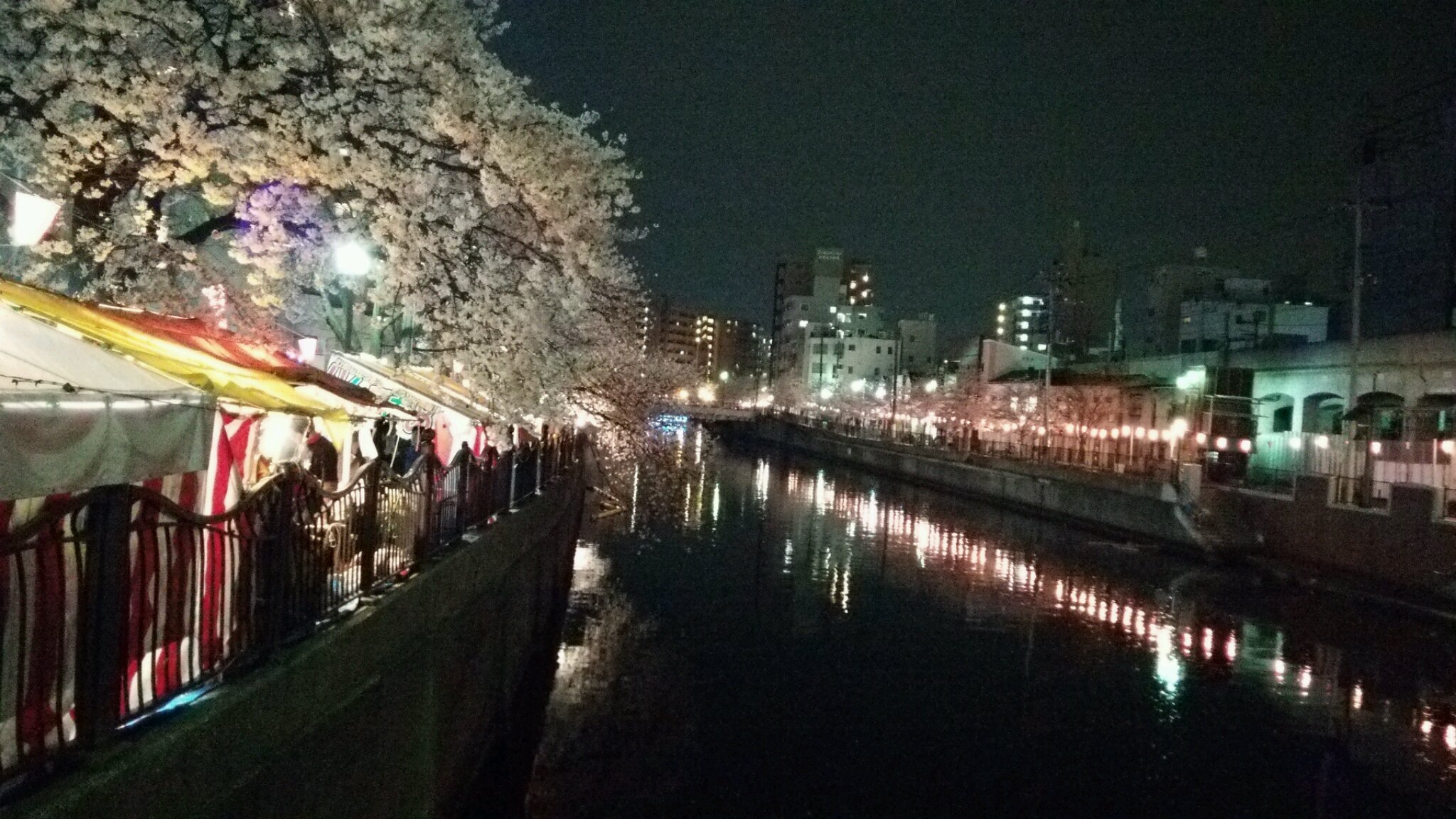 今年も行ってきました!_e0119092_14225029.jpg