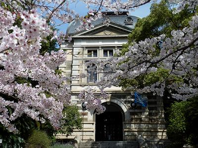 神戸の桜2014　兵庫県警と、県公館の桜_b0051598_22332728.jpg