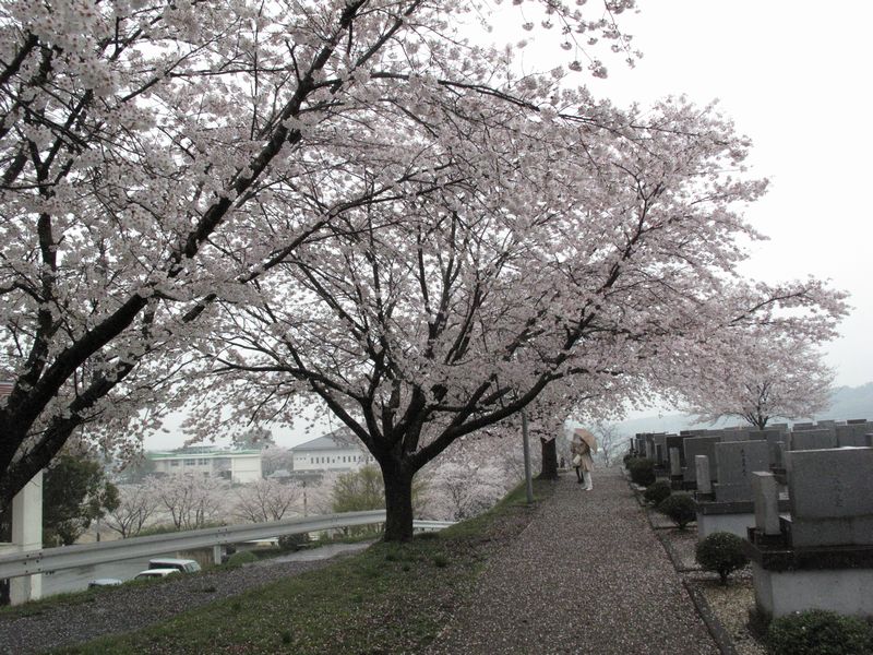 f0059498_201399.jpg