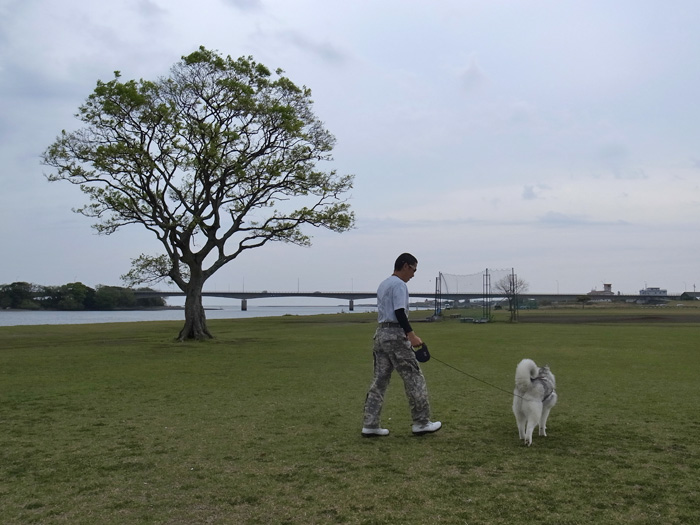 c0049299_2242152.jpg