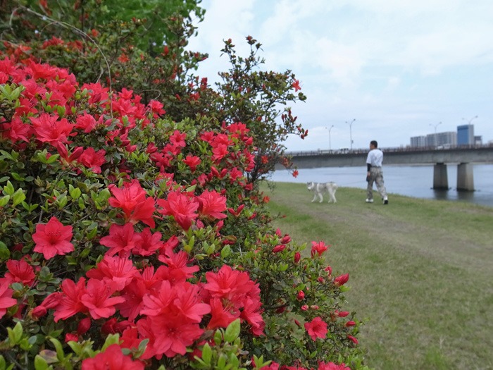 c0049299_2248588.jpg