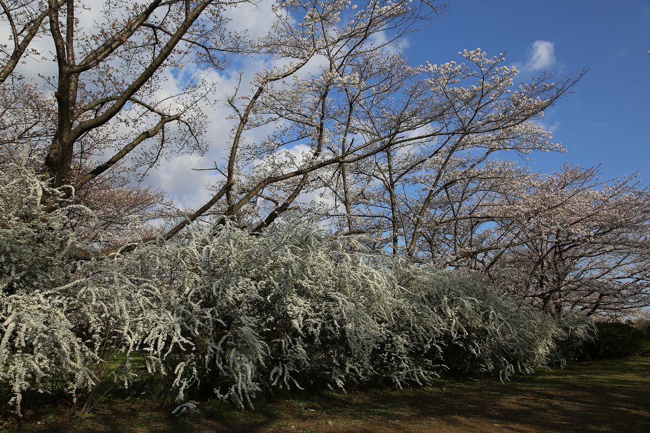 f0296999_1326217.jpg