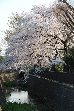 c0128303_2322479.jpg