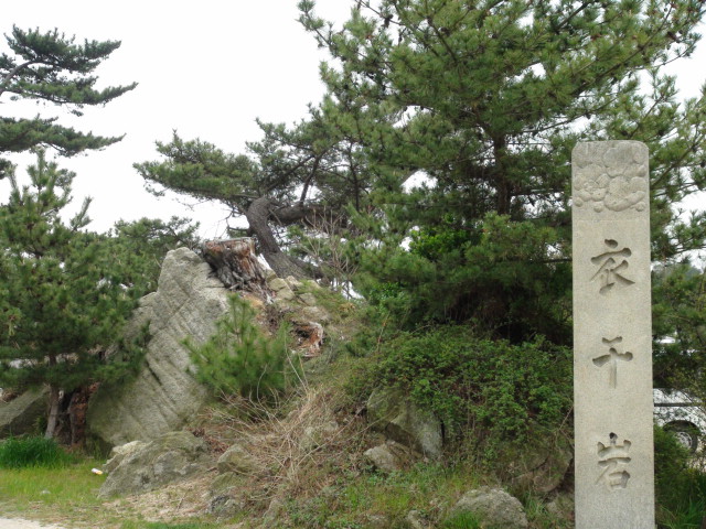 今治市の綱敷天満神社と志島ヶ原と梅林の様子…2016/1/10_f0231709_1431412.jpg