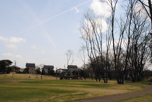 桜など　お出掛け写真_f0128316_834946.jpg