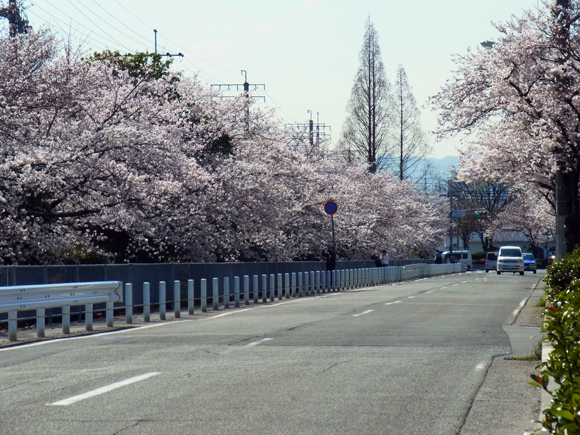 e0083517_57186.jpg