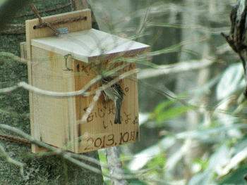 f0232920_17263931.gif