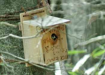 f0232920_17265414.gif