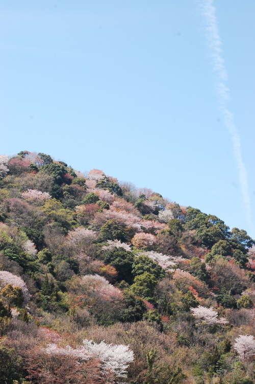 f0248120_14312138.jpg