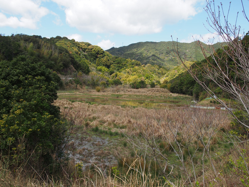 徳島県訪問記その１_e0189021_21452535.jpg