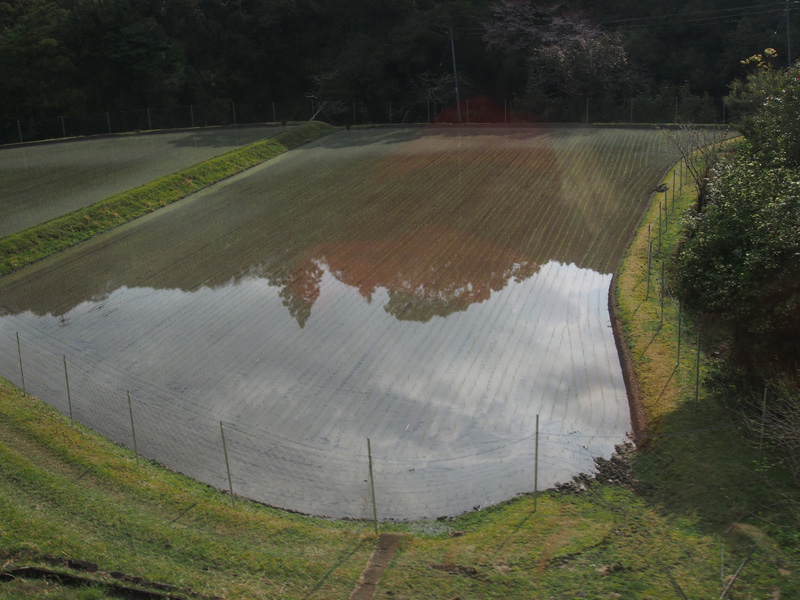 徳島県訪問記その１_e0189021_21553270.jpg