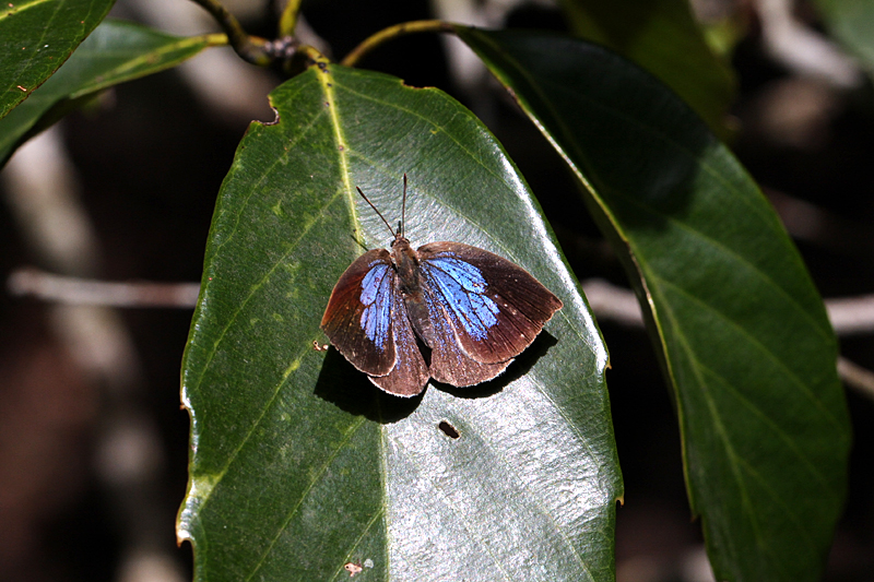 d0054625_2340278.jpg