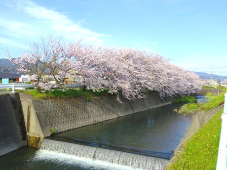 f0213825_1984051.jpg