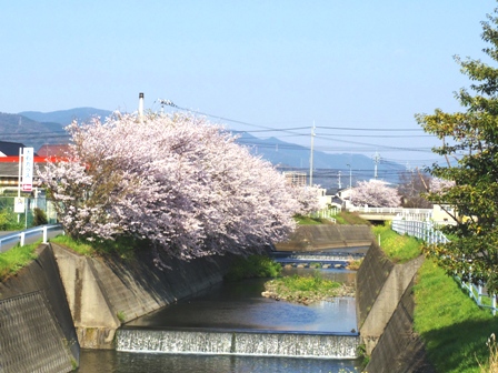 f0213825_199663.jpg