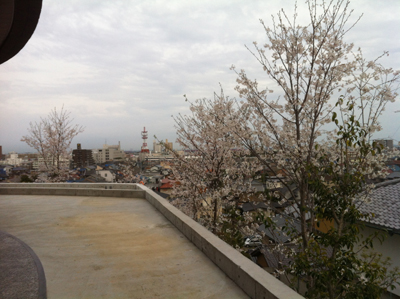 c0204027_084958.jpg