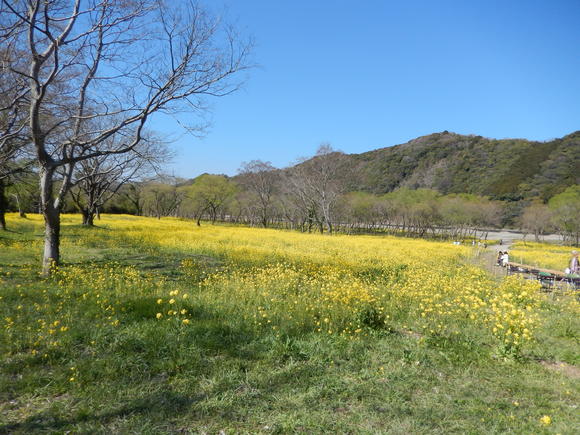 d0331729_10421985.jpg