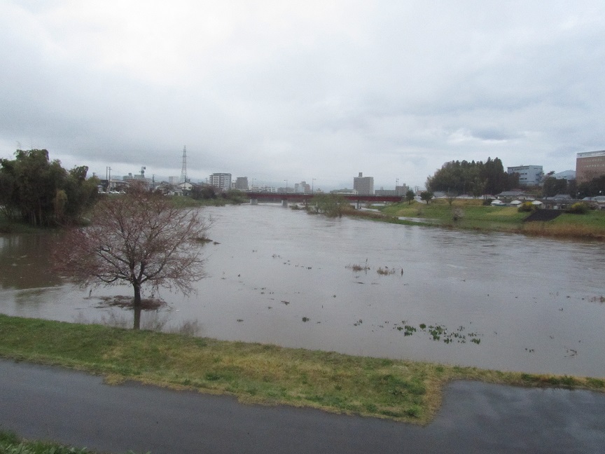 雨上がり_e0137130_1655075.jpg