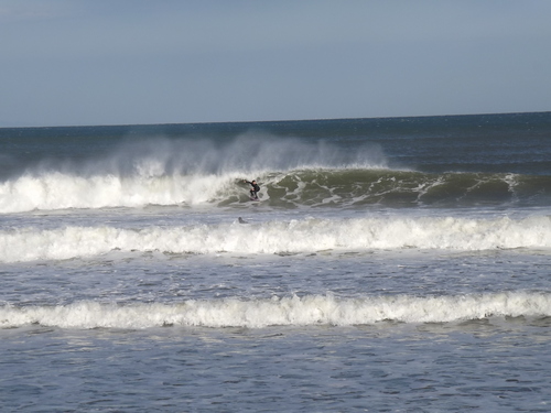 f0248337_1645077.jpg