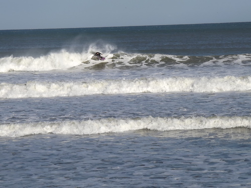 f0248337_1646672.jpg