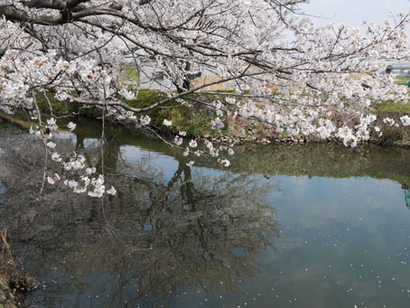 a0054040_00462106.jpg