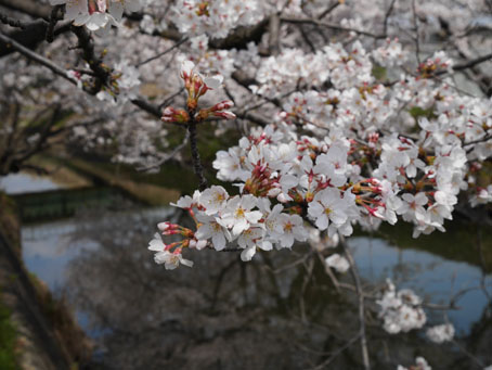 a0054040_00463495.jpg
