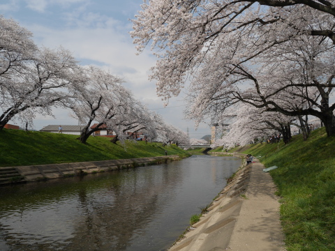 a0054040_00465025.jpg