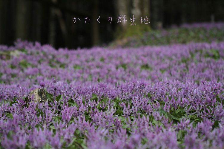 f0281446_08074092.jpg