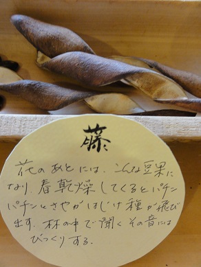 f0231147_20425897.jpg