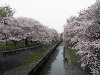 a0044453_18125564.gif