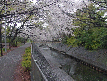 a0044453_1814558.gif